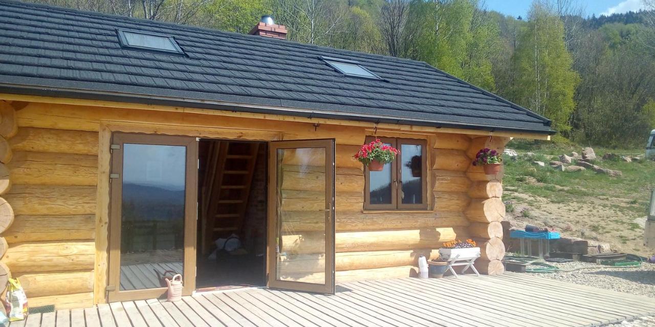 Domek W Gorach Sowich Jugów エクステリア 写真